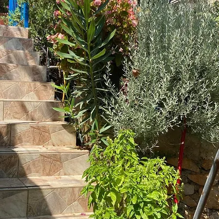 Gasthof Joannas Stefaneli House Himarë