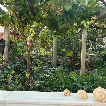 Gæstehus Joannas Stefaneli House