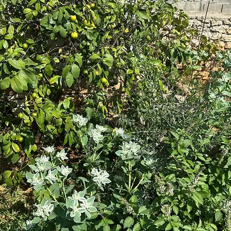 Casa de hóspedes Joannas Stefaneli House Himare