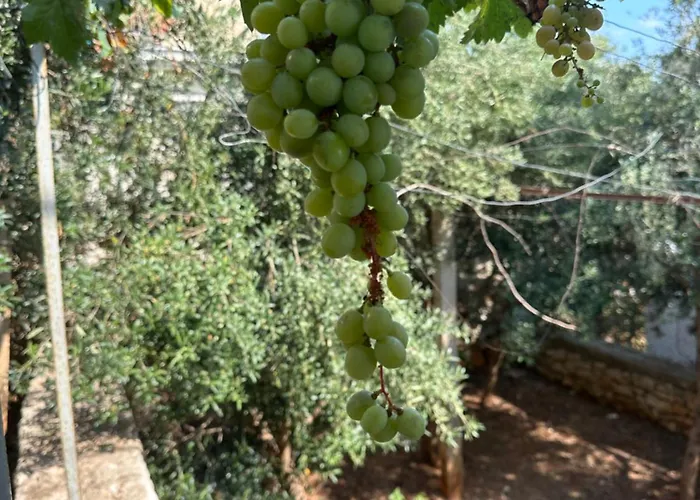 Joannas Stefaneli House Guest house *