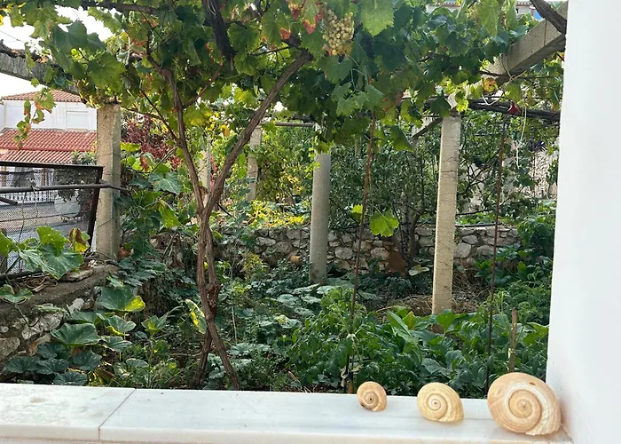 Guest house Joannas Stefaneli House