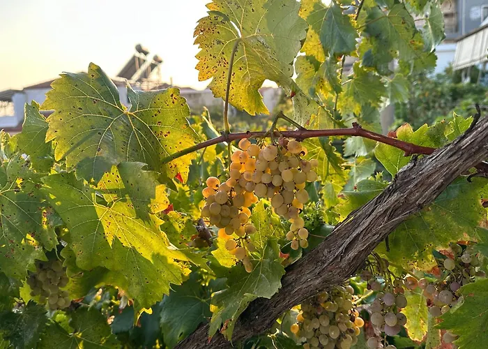 Guest house Joannas Stefaneli House *